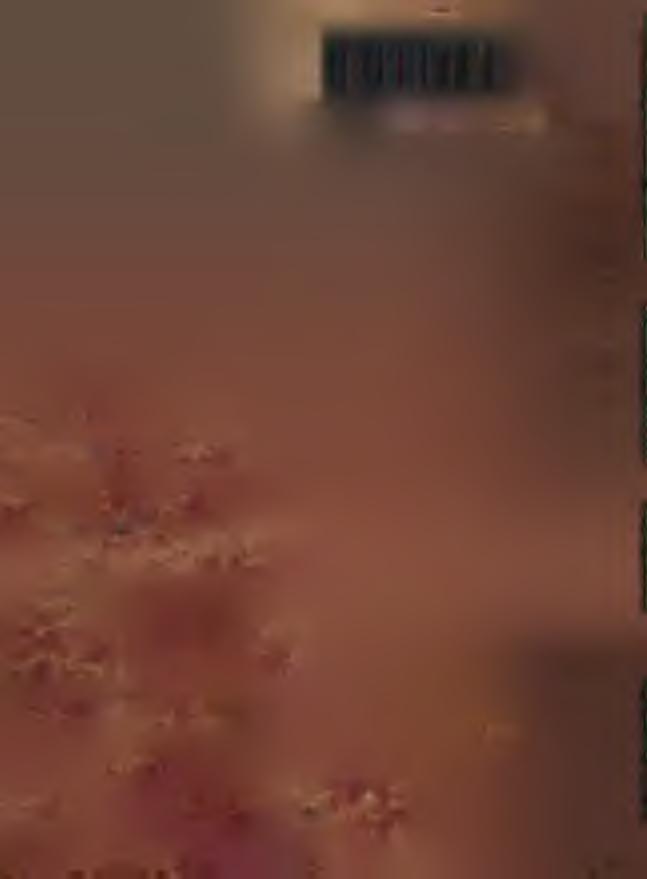 0 : : M ~ ' ^ ' Ä l I Í : - ;'' " '": r ~