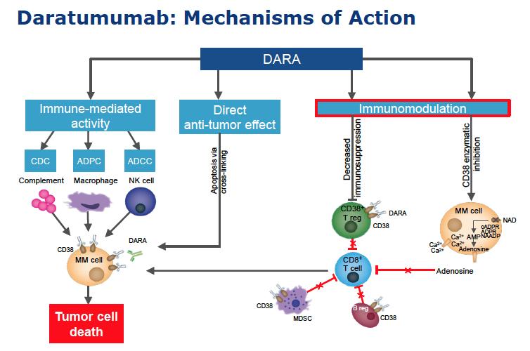 Daratumumab: