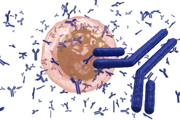 Potępy immunoterapii Dziś i jutro immunoterapii Wprowadzenie immunoterapii jako strategie leczenia szpiczaka już dziś przyniosło olbrzymi postęp i leki, takie jak daratumumab i