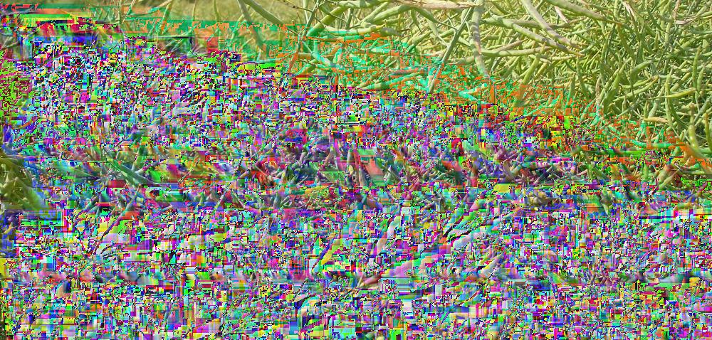 https://www. Kalkulacja uprawy rzepaku - jak obliczyć koszty? Autor: Tadeusz Śmigielski Data: 5 października 2018 Kalkulacja uprawy rzepaku to nie kosmos! Coraz cz??ciej spotyka si?