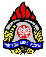 KOMENDA POWIATOWA PAŃSTWOWEJ STRAŻY POŻARNEJ W PABIANICACH Sprawozdanie z działalności