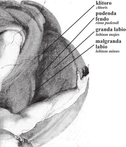 b5 Turnita fragmento de la fresko La kreo de astroj kaj kreskaĵoj ; la rezulta bildo similas la prezentaĵon de la virina vulvo (kursive estas prezentitaj la latinaj ekvivalentoj de la anatomiaj