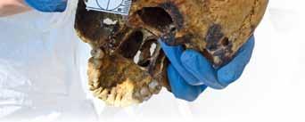 Widok szkieletu noworodka wtulonego w ramiona kobiety, prawdopodobnie matki, szczątki kilkuletniej dziewczynki z zachowanym, zaplecionym warkoczykiem albo drobniutkie kości nienarodzonego dziecka