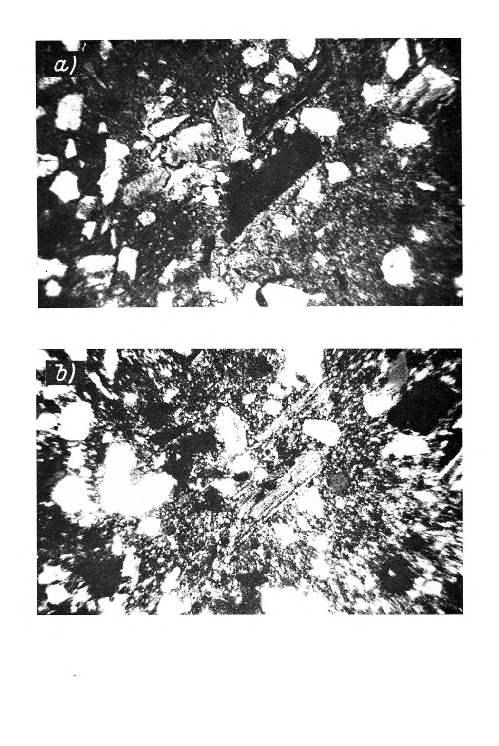 Rys. 3. Gleba pseudobielicowa głęboka wytworzona z granitu porfirowatego (profil 1). Poziom B3 (62-77 cm). Dobrze zachowane ziarna mineralne. Plazma glebowa o strukturze silasepic.