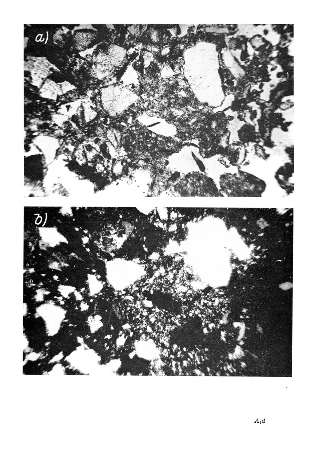 Rys. 5. Gleba pseudobielicowa głęboka wytworzona z granitu porfirowatego (profil 1). Poziom Aid (0-20 cm). Fragmenty większe oraz detrytus drobny.