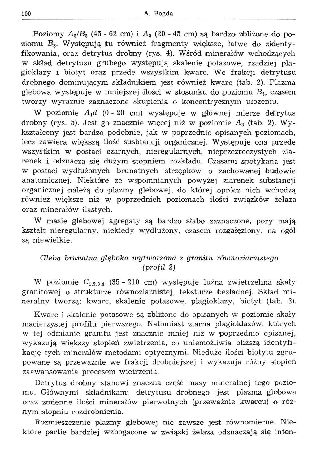 1 0 0 A. Bogda Poziomy A 3/B 3 (45-62 cm) i A 3 (20-45 cm) są bardzo zbliżone do poziomu B 3. W ystępują ftu również fragm enty większe, łatw e do zidentyfikowania, oraz detrytus drobny (rys. 4).