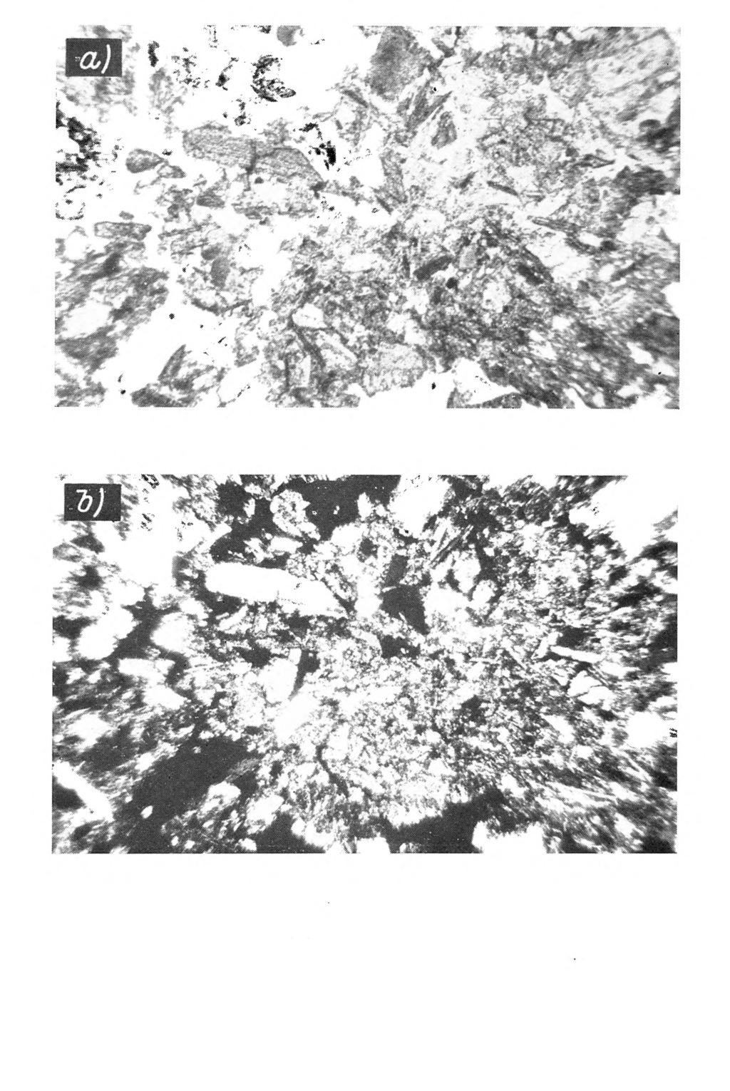Rys. 8. Gleba brunatna głęboka wytworzona z gabra oliwinowego (profil 4). Poziom (В) (20-45 cm). Większe fragmenty mineralne stosunkowo dobrze zachowane.