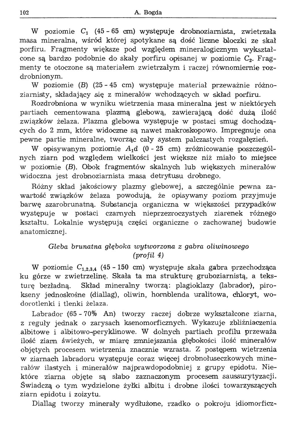 1 0 2 A. Bogda W poziomie Cx (45-65 cm) występuje drobnoziarnista, zwietrzała m asa mineralna, wśród której spotykane są dość liczne -bloczki ze skał porfiru.
