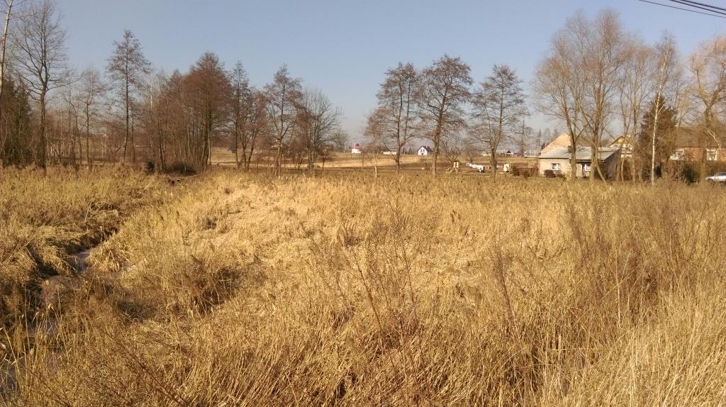 8. Oczyszczenie i zabezpieczenie przed wtórną degradacją stawu oraz rewitalizacja terenu przyległego na działce nr 202 w miejscowości Grodkowice.