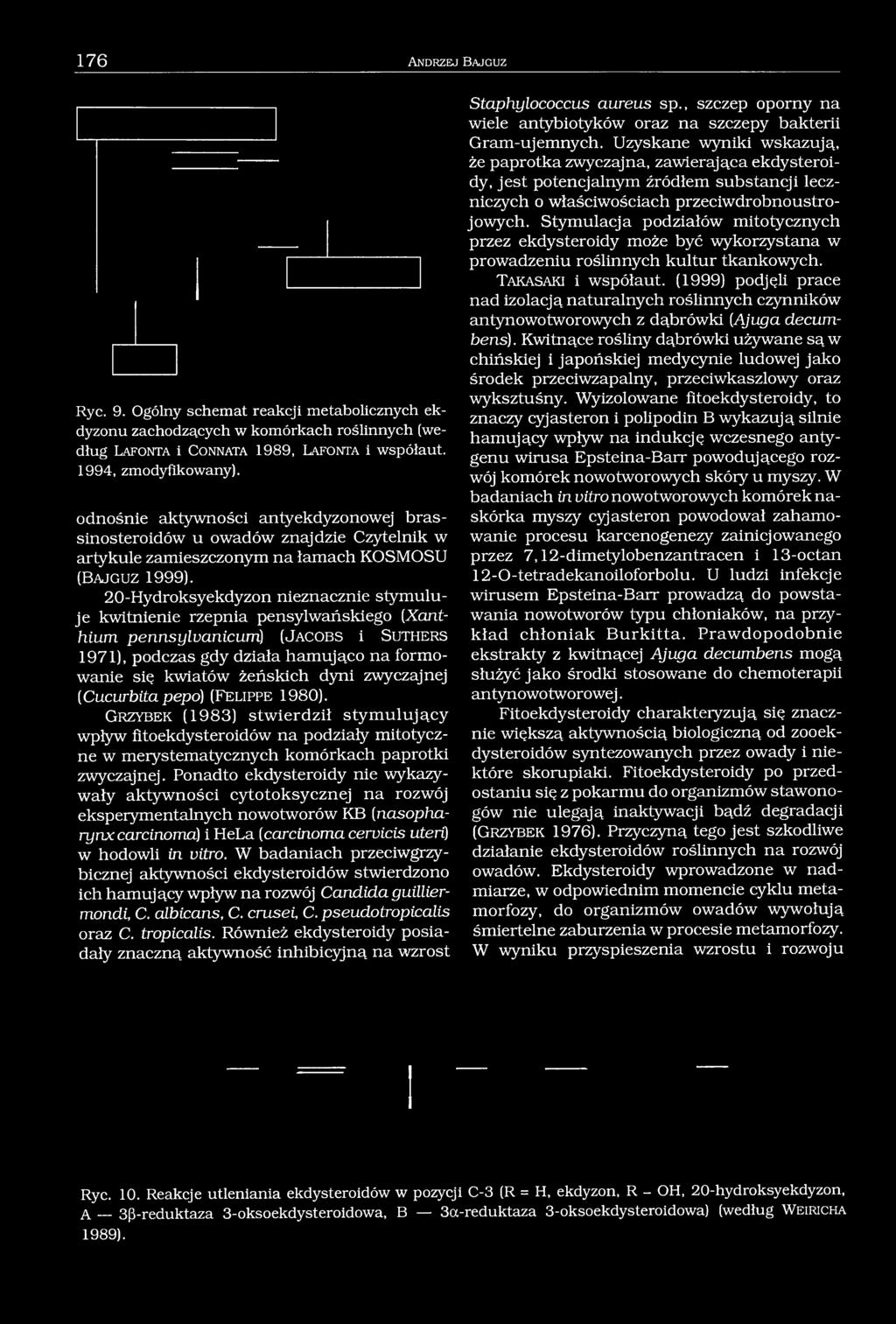 20-Hydroksyekdyzon nieznacznie stymuluje kwitnienie rzepnia pensylwańskiego (Xanthium pennsylvanicum) (J a c o b s i S u t h e r s 1971), podczas gdy działa hamująco na formowanie się kwiatów