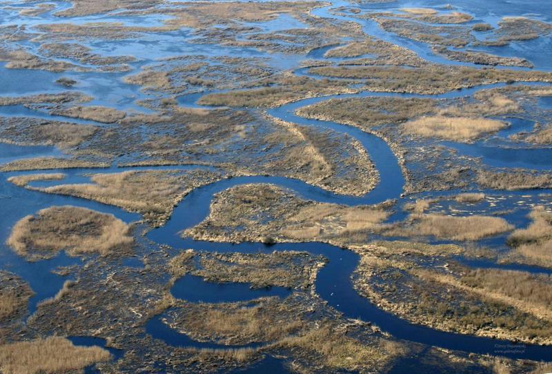 Dokumentacja Planu Zadań Ochronnych obszaru Natura 2000 Dolina Biebrzy PLH200008 TOM 2 (wersja 29.01.2016) Opracowano w ramach realizacji projektu POIS.05.03.