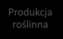 przygotowanej przez zespół CDR O/Kraków koncepcji rozwoju gospodarstw opiekuńczych.