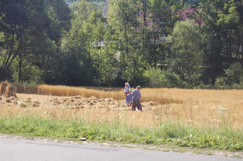 Poland is one of the countries in Europe with the largest reserves of environmental diversity of agricultural landscape.