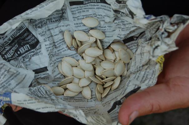 Conclusion Traditional varieties are our cultural and historical legacy.
