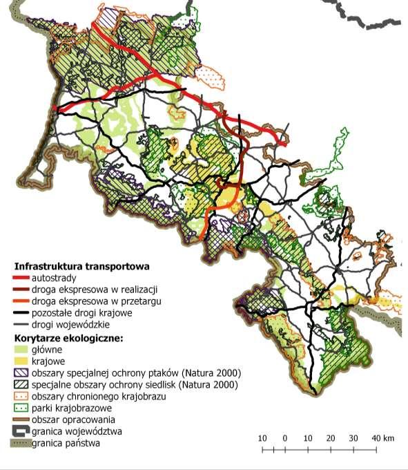 Ryc. 17 Układ głównych szlaków transportowych. Opracowanie własne na podstawie informacji GDDKiA oraz danych geofabrik.de, GDOŚ oraz GUGiK.