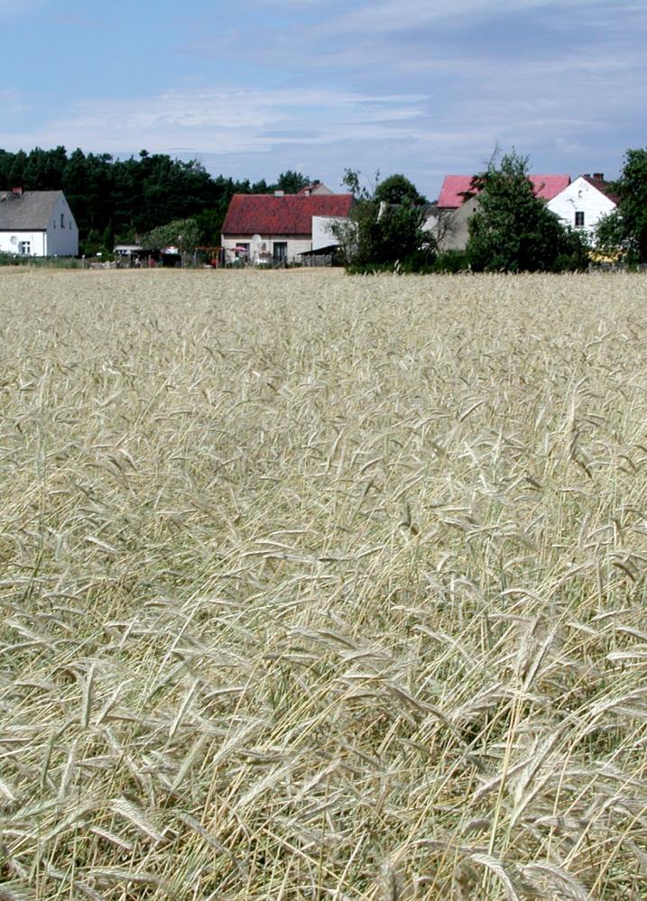 Działają tu dwa zakłady kamieniarskie i jeden sklep spożywczy.