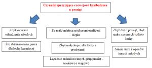 Teraz jest inaczej, często nie zwraca się uwagi na podstawowe potrzeby i higienę pomieszczeń tłumaczy.