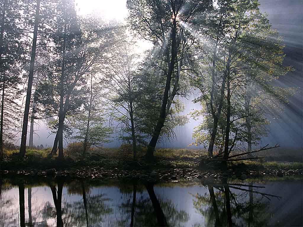 Dziękuję