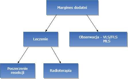 - 23 - Wykres 1. Schemat postępowania w przypadku marginesu dodatniego W przypadku marginesu dodatniego postępowanie było zindywidualizowane (wykres 1).