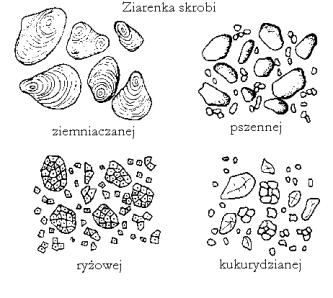 SUBSTANCJE POMOCNICZE Charakterystyka ROZCIEŃCZAJĄCE, CZYLI WYPEŁNIAJĄCE (DILUENTS, BULKING AGENTS, FILLERS) PODSTAWOWE WYPEŁNIENIE MASY TABLETKOWEJ wywierają wpływ na: twardość, czas rozpadu oraz