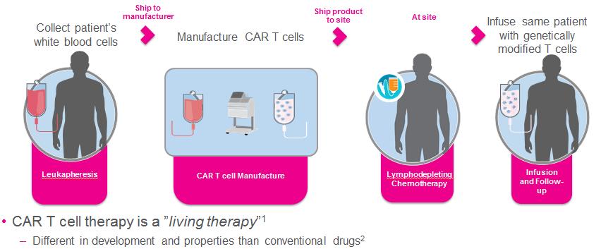 Overall Patient Flow and CAR T Cell Therapy Schedule 1. https://www.cancer.