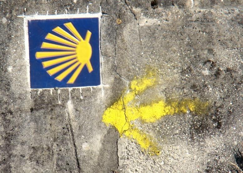 nieoczywistych lub mało widocznych przez np. narastającą na nich zieleń.