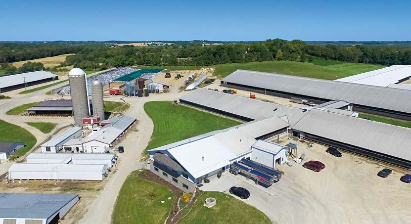 Trierweiler Dairy, Westphalia, to znane przedsiębiorstwo w stanie Michigan. Farma mleczna należy do Franka i Paula Trierweiler. Mleko jest tutaj zbierane od ok. 1500 krów.