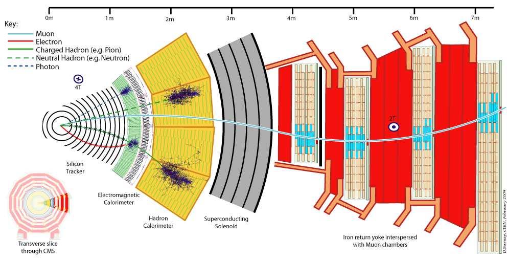 W eksperymentach kalorymetry naogół umieszczane sa za detektorami śladowymi.
