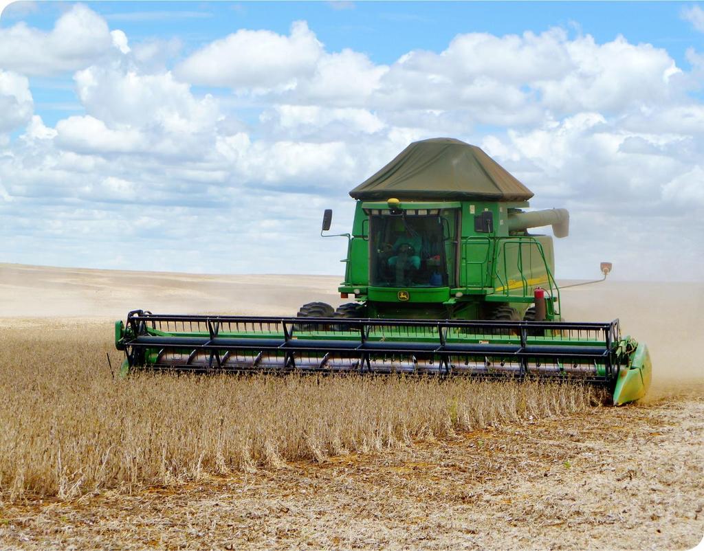 GMO Controlled GMP+ MI 105