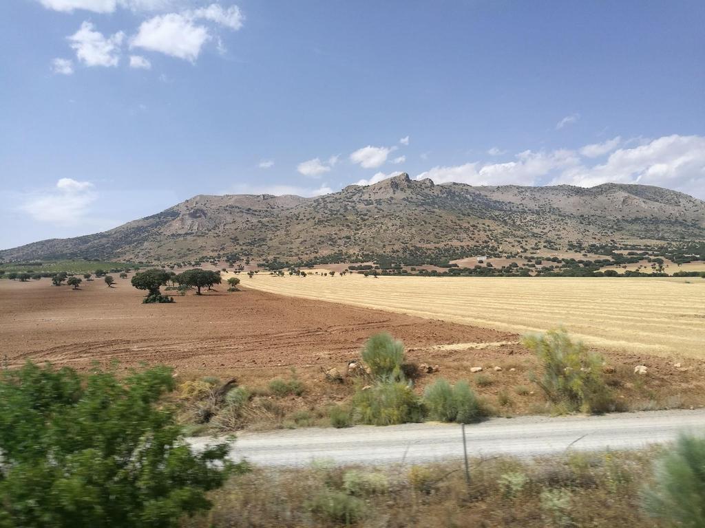 Fot. 18: Krajobraz Andaluzji