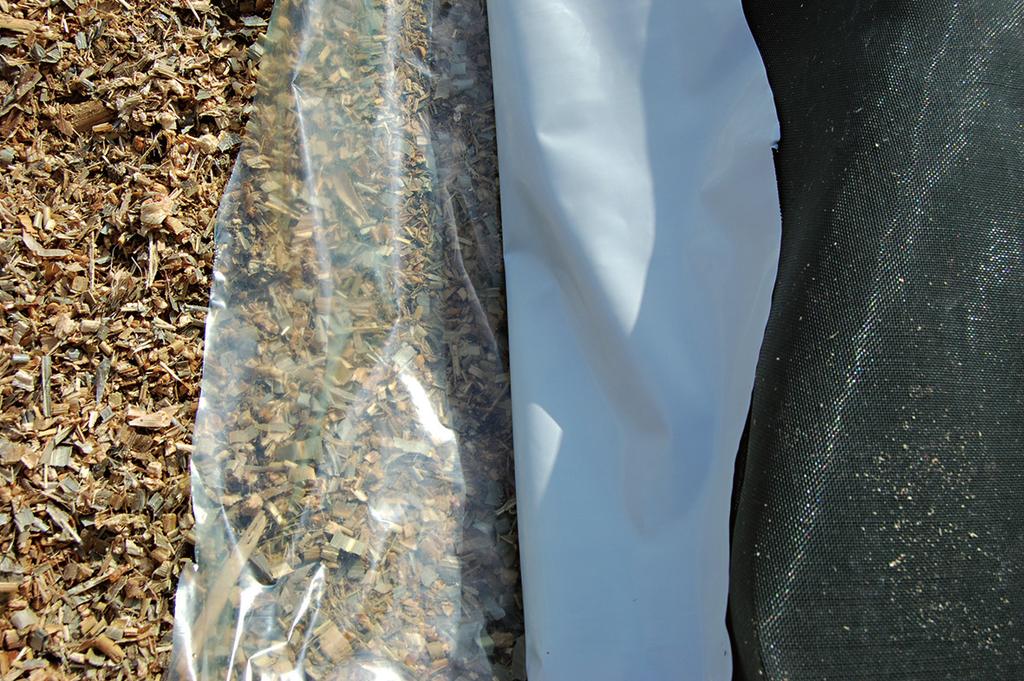 ku fermentacji: zbyt niskie koszenie zielonki, nieprawidłowe rozdrobnienie surowca, zanieczyszczenie zakiszanego materiału ziemią i obornikiem, niedostateczne ubicie surowca, korzystanie z silosów