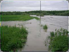 Wezbrania powodziowe w zlewni górnej g i środkowej Odry występuj pują prawie corocznie.