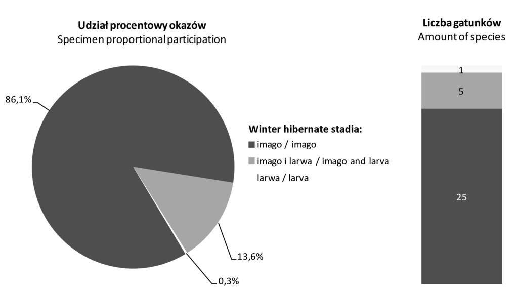 Stadia zimujące w zgrupowaniu Carabidae na łące podmokłej FIGURE 5.