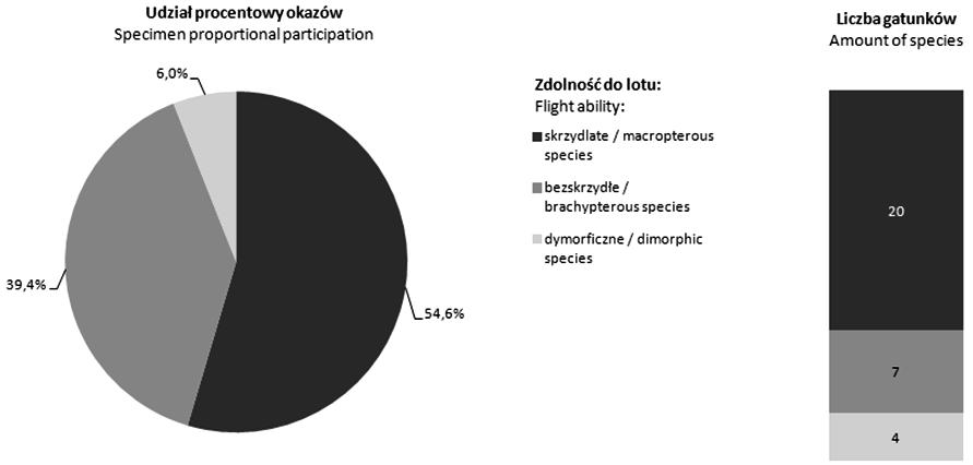 Struktura zgrupowania pod względem zdolności do lotu Uwzględniając zdolność biegaczowatych do dyspersji, stwierdzono wyraźną przewagę gatunków oraz osobników skrzydlatych w porównaniu z klasą