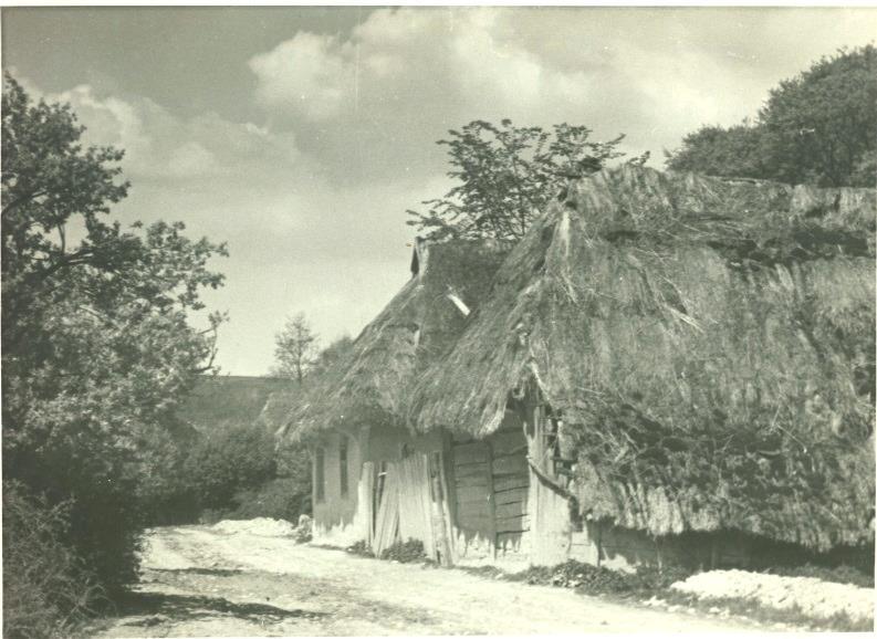 Fot.3 Korzkiew, budynek gospodarczy, za nim widoczny - mieszkalny, kryte strzechą, lata 50-te XX w. mat. prywatny, fot. J.