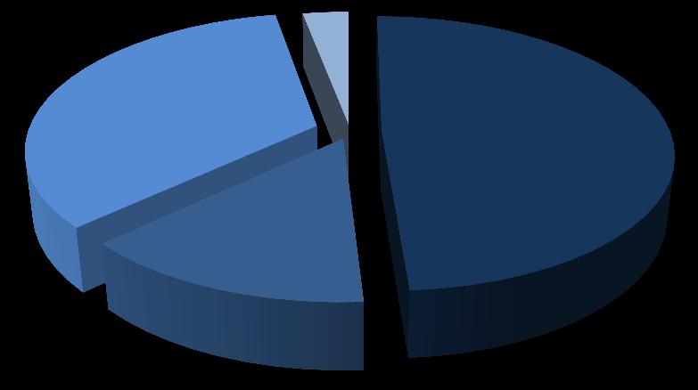 34% Pozostałe segmenty 3% Systemy