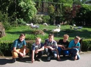 Zakupiliśmy tam pamiątki oraz zjedliśmy lody. Ostatnim punktem wycieczki było zoo.