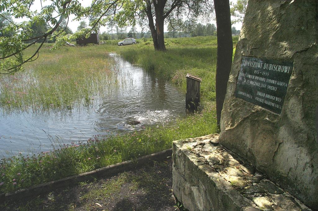 Tarliska wybudowane przez Dubischa i kamieo
