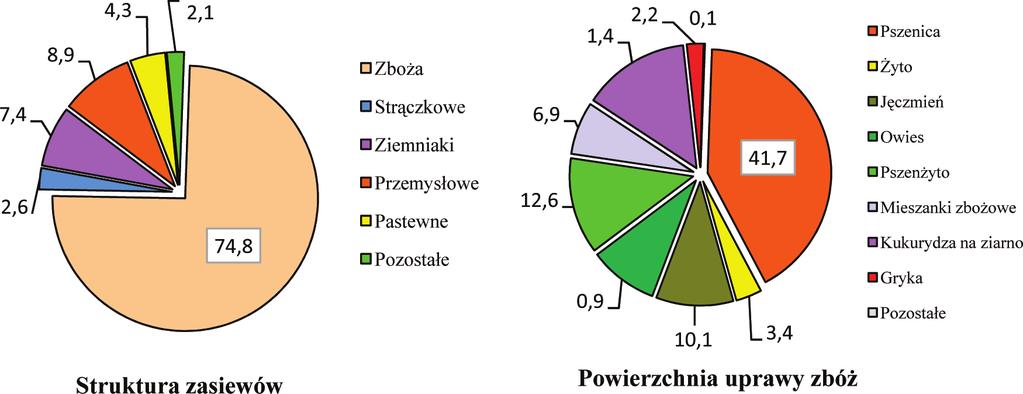 W strukturze zasiewów zboża ogółem (zboża podstawowe z mieszankami zbożowymi, gryka, proso i inne zbożowe oraz kukurydza na ziarno) zajmowały 227,2 tys. ha, tj.