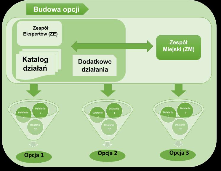 Opracowanie opcji