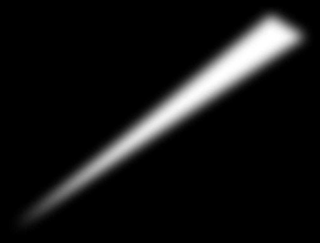 OCHRONA