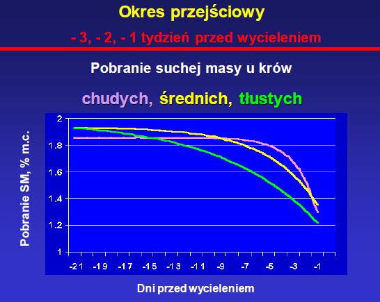 Kryteria przydziału krowy zasuszonej