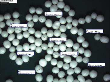 Wyniki 2. WŁAŚCIWOŚCI FIZYCZNE NIEPOWLEKANYCH PELETEK PLACEBO Peletki placebo (P1.0), przygotowane metodą ekstruzji i sferonizacji (III.4.1. Otrzymywanie peletek), jak i peletki celulozowe (P0.