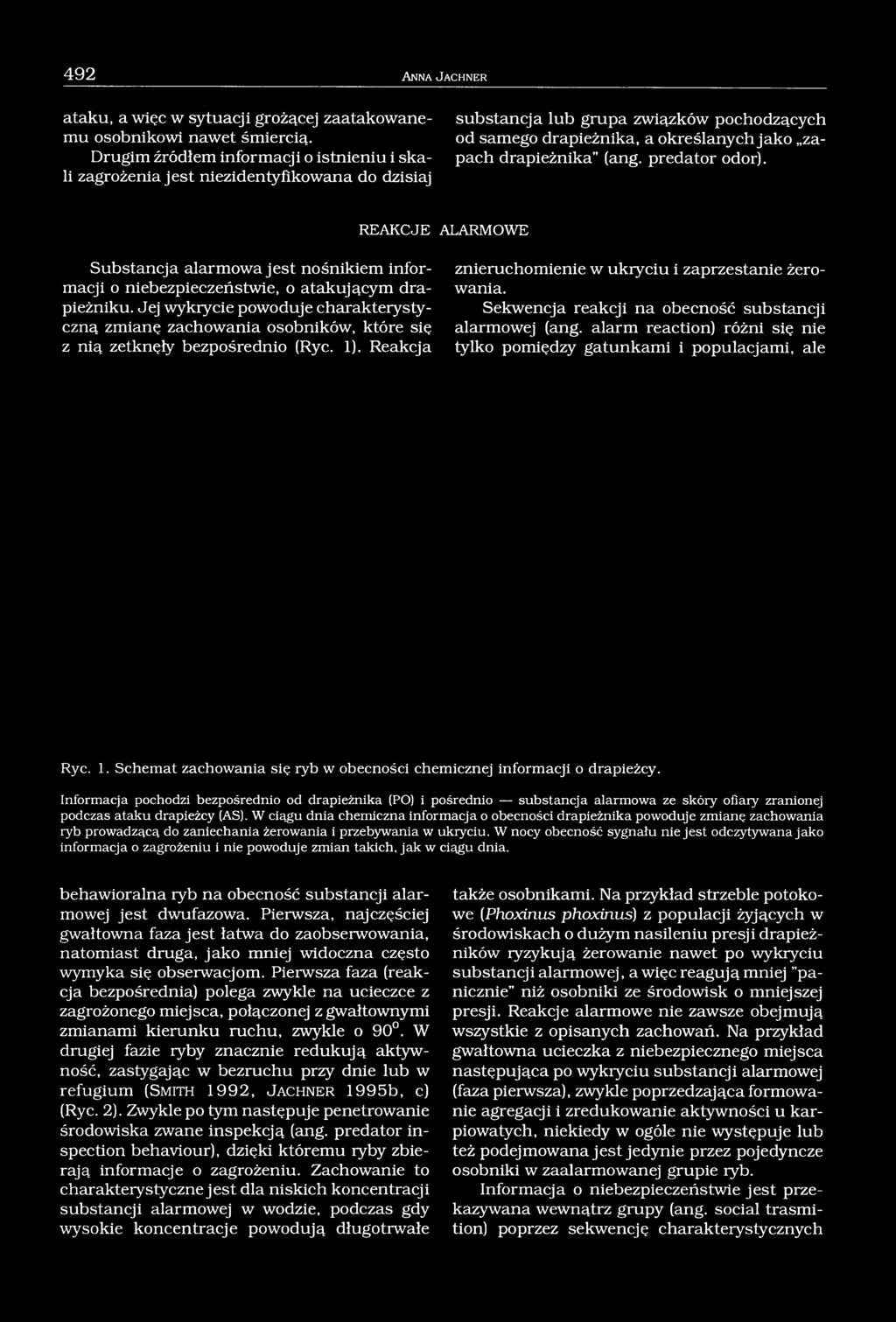 (ang. predator odor). REAKCJE ALARMOWE Substancja alarmowa jest nośnikiem informacji o niebezpieczeństwie, o atakującym drapieżniku.