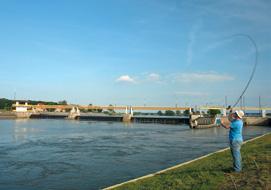 53 Opolskie Towarzystwo Kajakowe (OTK) ul. Spacerowa 3 (wyspa Bolko), 45-094 Opole tel. 660 367 307, www. otk.opole.pl Marina Gwardia Opole ul. Kowalska 2, 45-590 Opole tel. 77 423 10 50, www.