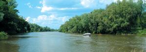5 Odra Osią hydrograficzną Opolszczyzny jest Odra, przepływająca przez środek województwa. Od Koźla jest skanalizowana i do Brzegu Dolnego (woj. dolnośląskie) ma 24 stopnie piętrzące.