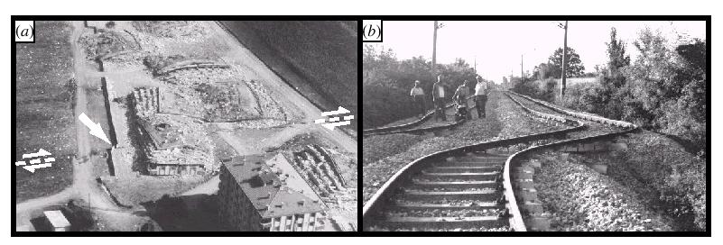 Monitorowanie cyklu trzęsienia ziemi za pomocą interferometrii satelitarnej Powierzchniowe pęknięcie/zerwanie (rupture) powstałe w wyniku trzęsienia Izmit 1999 (Wright, 2002).