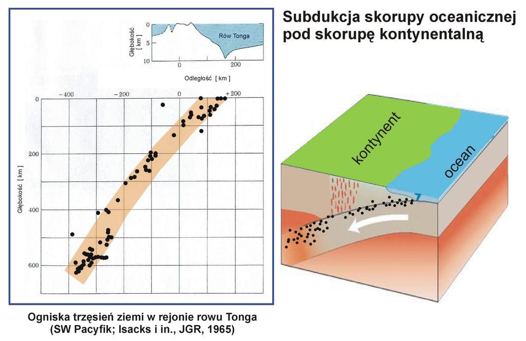 Subdukcja płyty
