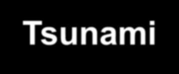 Tsunami Sumatra 26.12.
