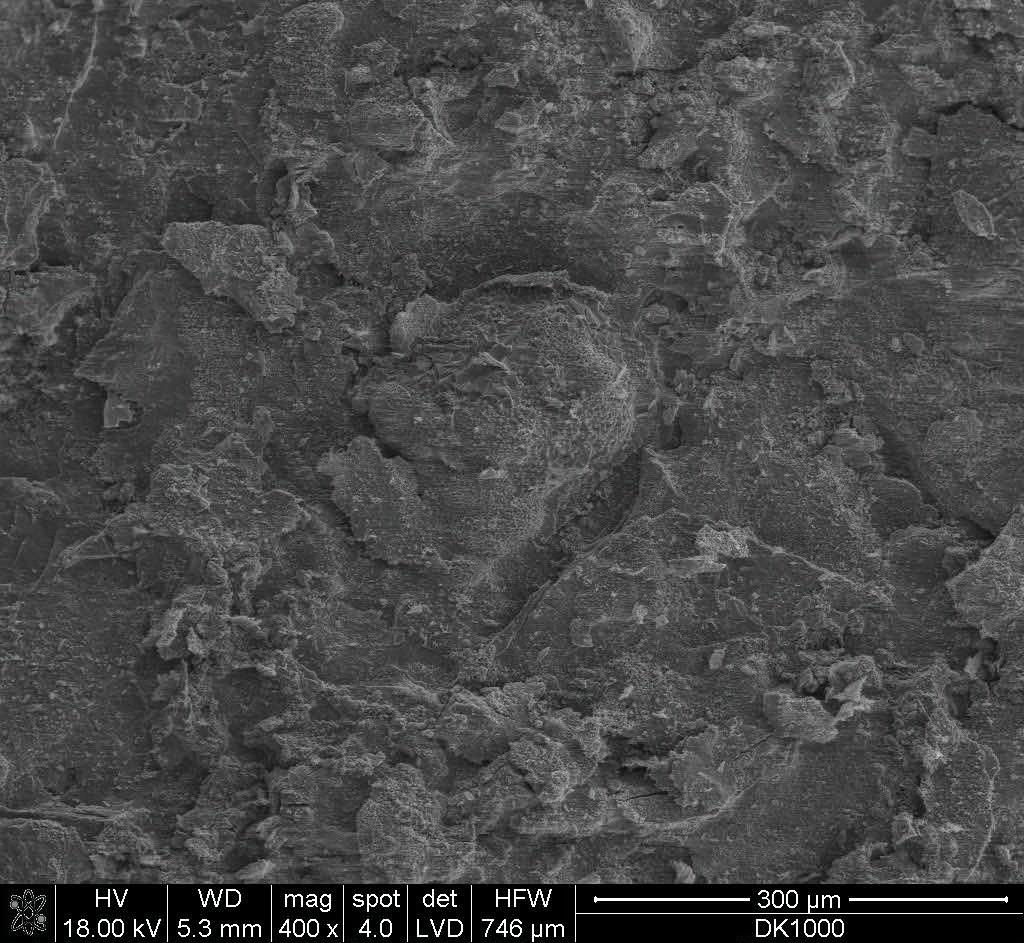 Obraz SEI zgorzeliny powstającej na stali X5CrMnNiNbN21-9